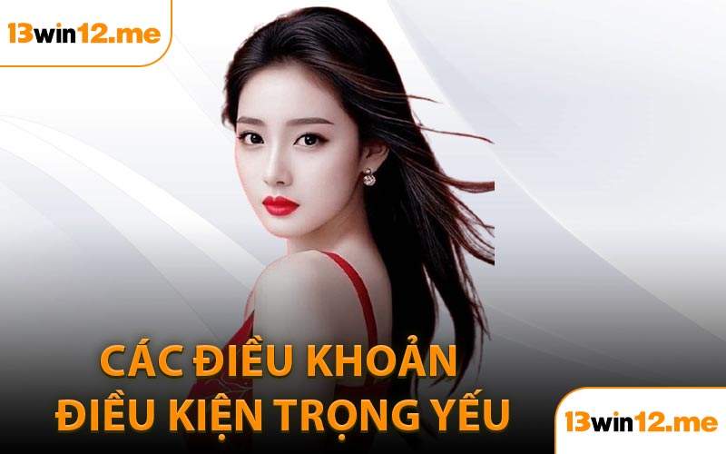 Các điều khoản điều kiện trọng yếu